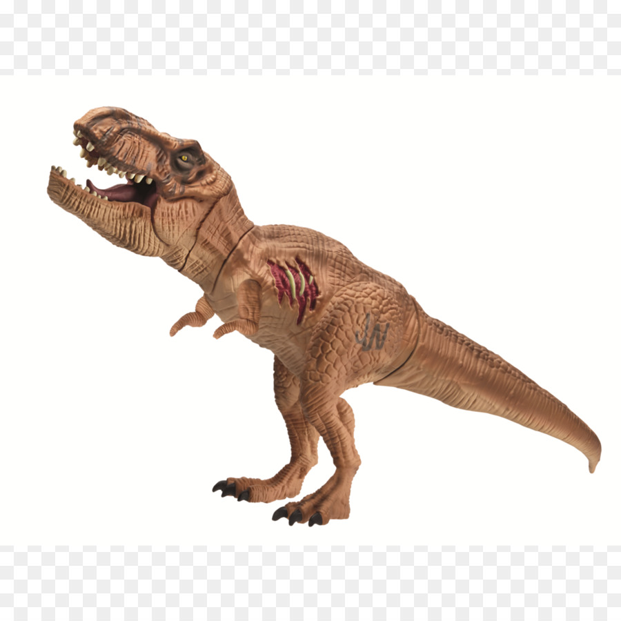 Dinossauro，Tiranossauro Rex PNG