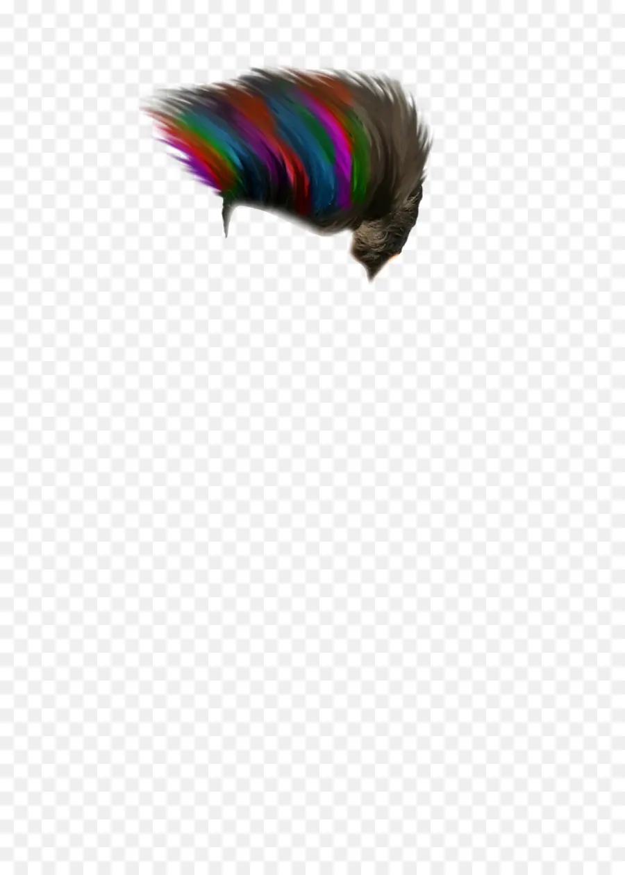 Cabelo Arco íris，Colorido PNG