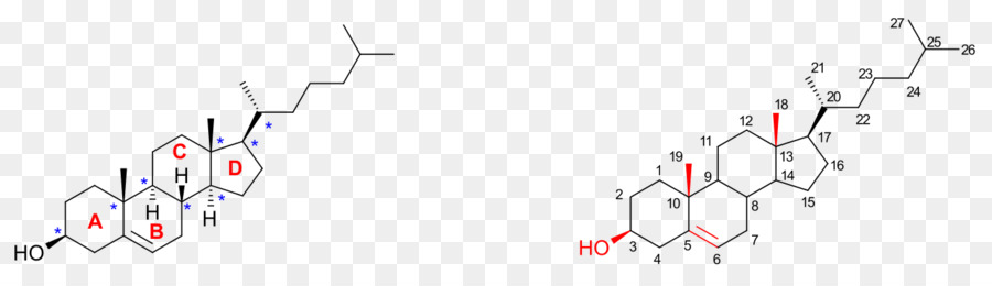 Estrutura Química，Molécula PNG