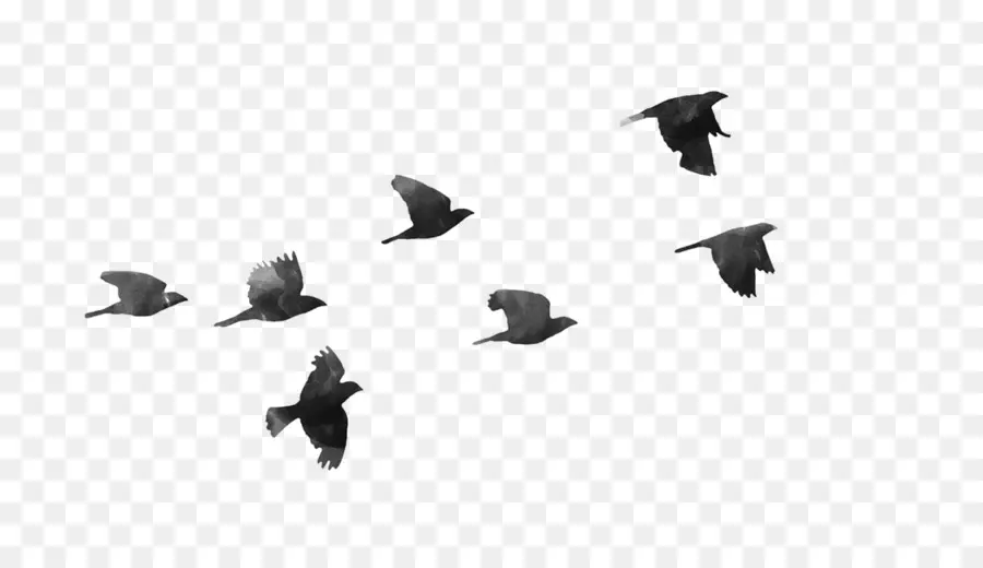 Aves，ícones Do Computador PNG