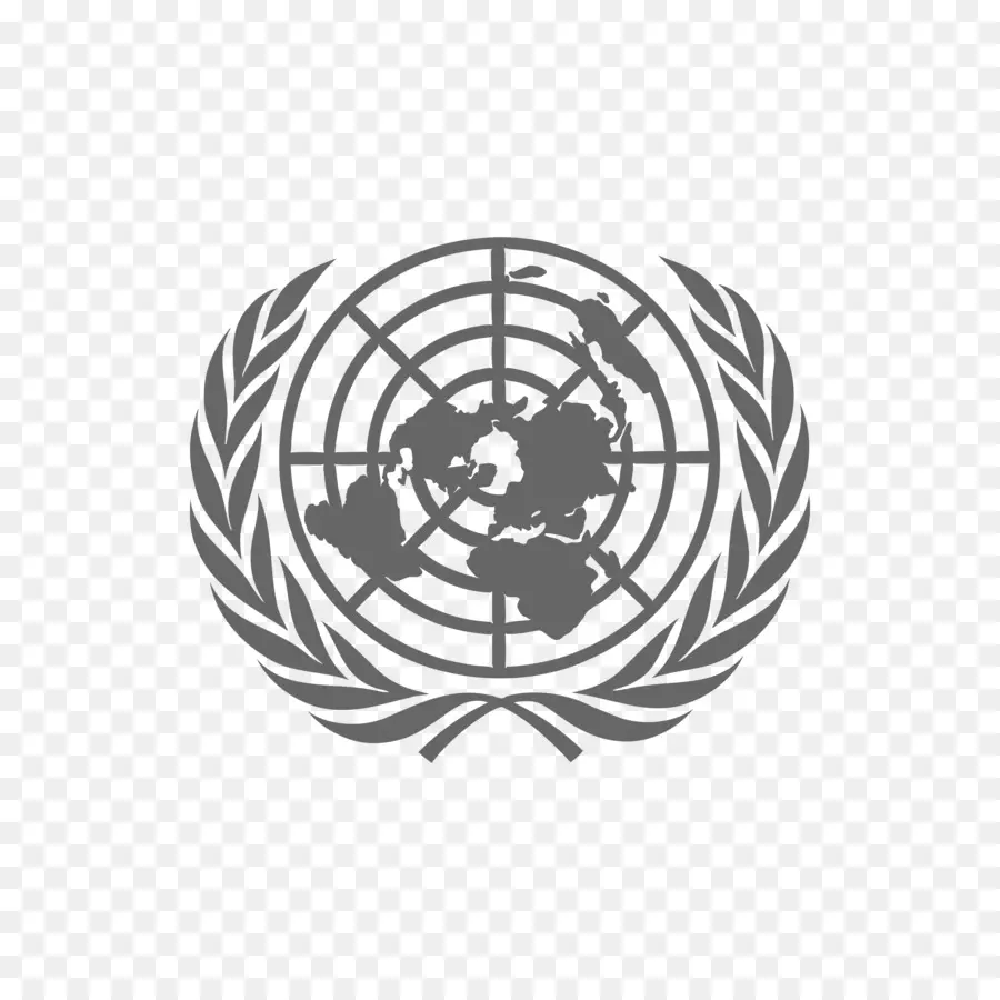 Escritório Das Nações Unidas Em Genebra，Escritório Das Nações Unidas Sobre Drogas E Crime PNG