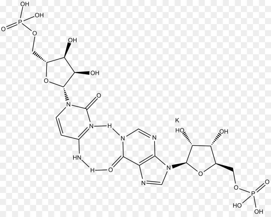 Polyinosinicpolycytidylic ácido，Tolllike Receptor PNG