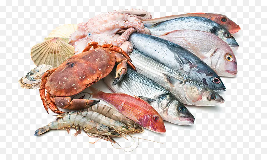 Frutos Do Mar，Mercado Do Peixe PNG