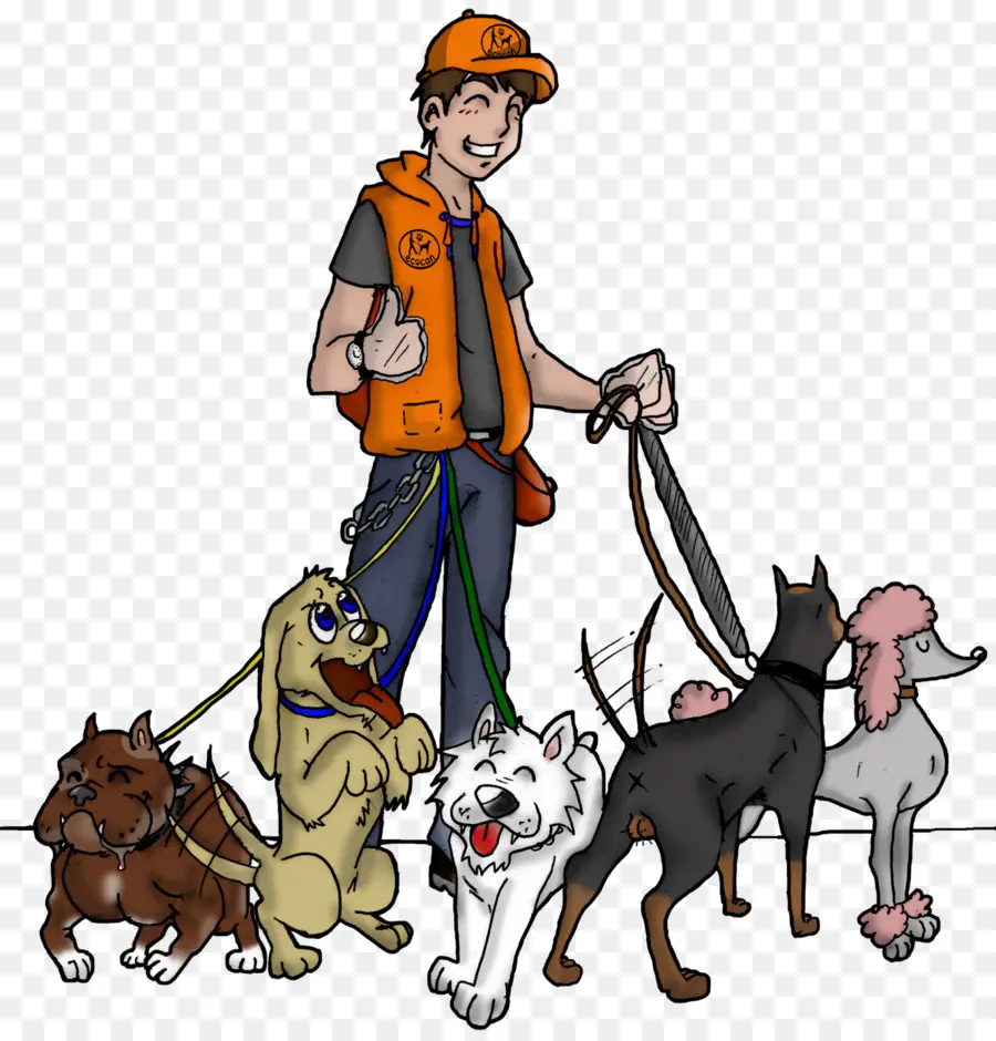 Passeador De Cães，Cães PNG