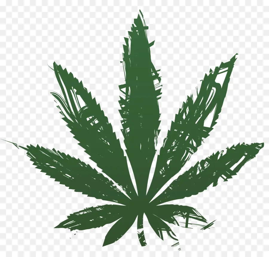 Cannabis，O Cânhamo PNG