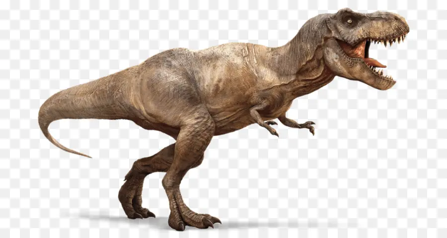 Tiranossauro Rex，Pré Histórico PNG