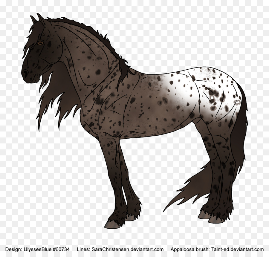 Muitas Cavalo，Mustang PNG