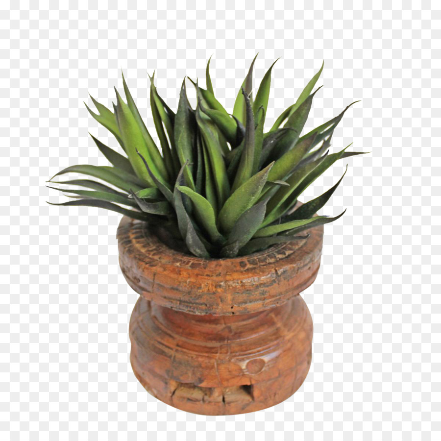Suculenta Planta，Flowerpot PNG