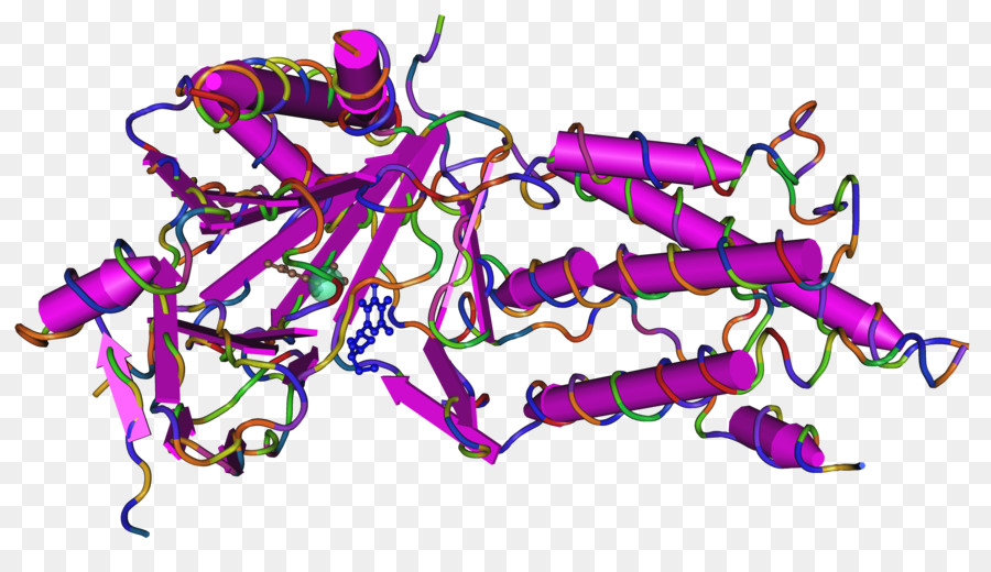 Leucemia，Bcell Leucemia Linfocítica Crônica PNG