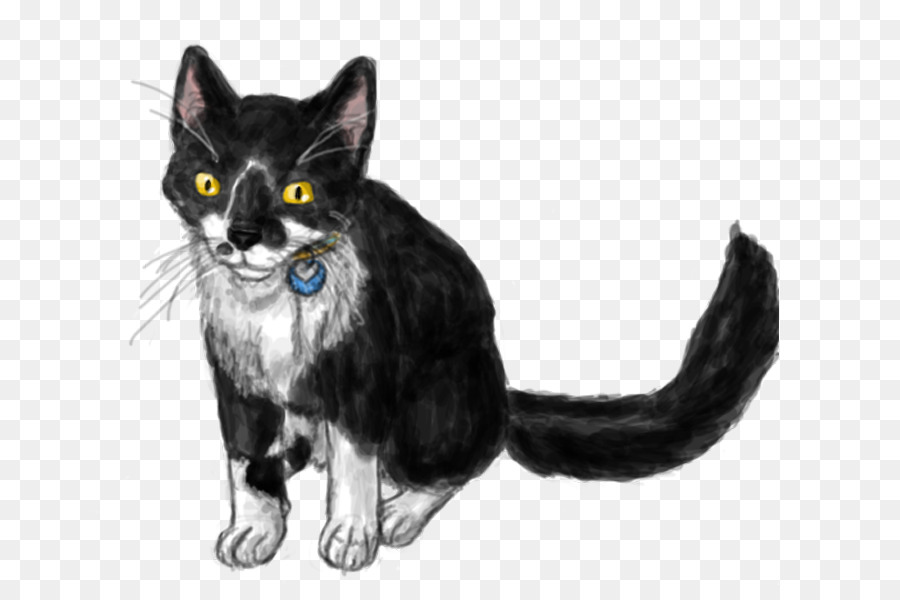 Gato Preto，Bicho De Estimação PNG