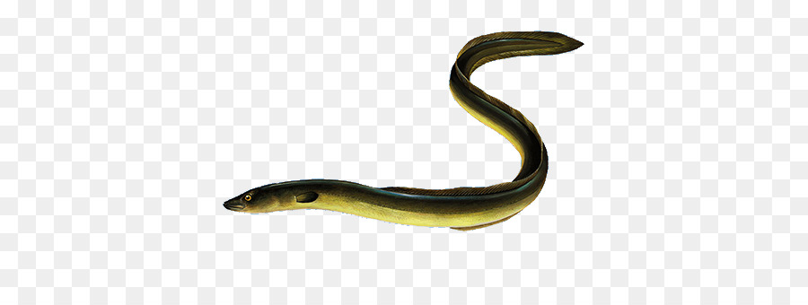 Répteis，Worm PNG