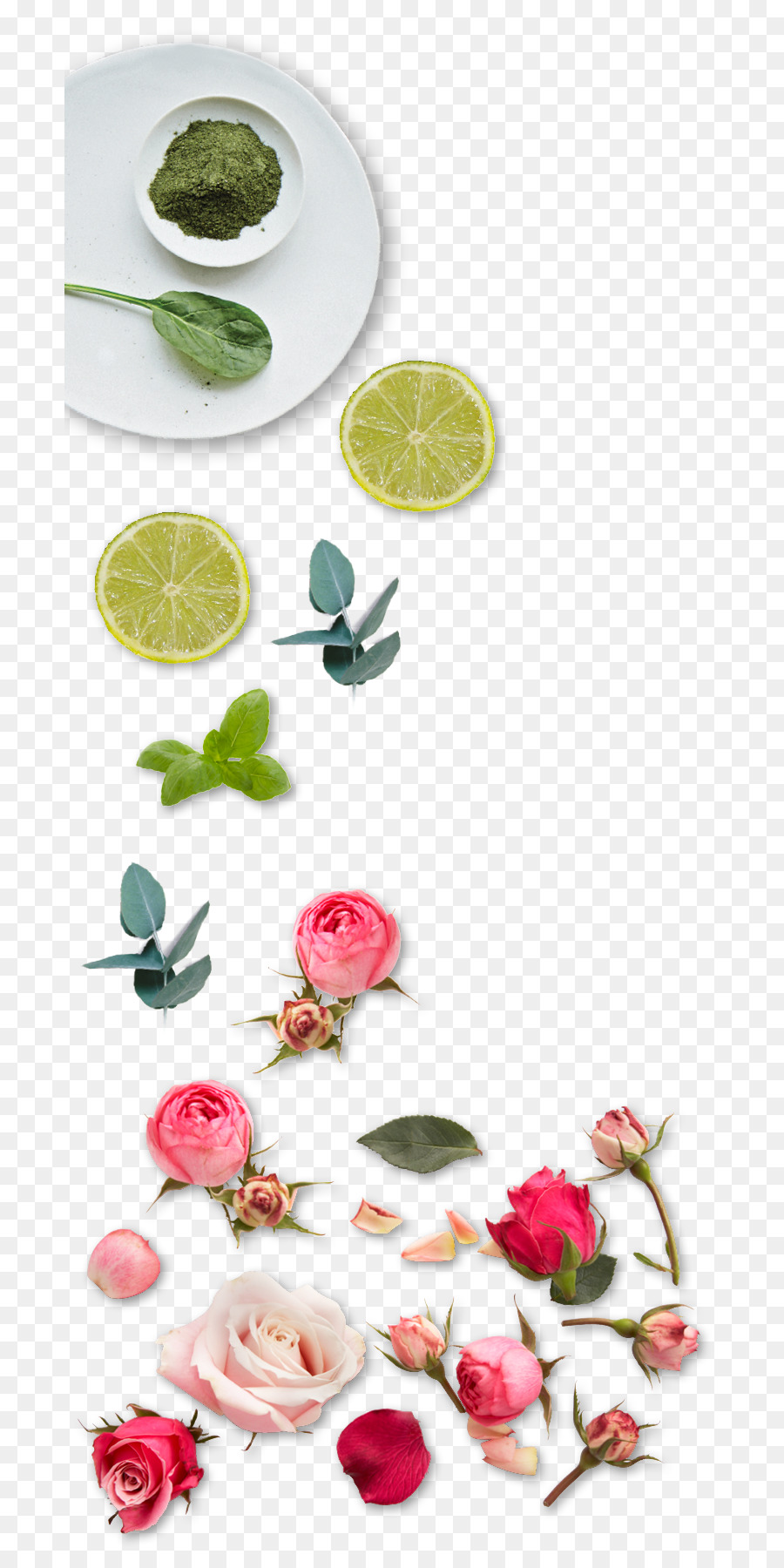 Superalimento，Design Floral PNG