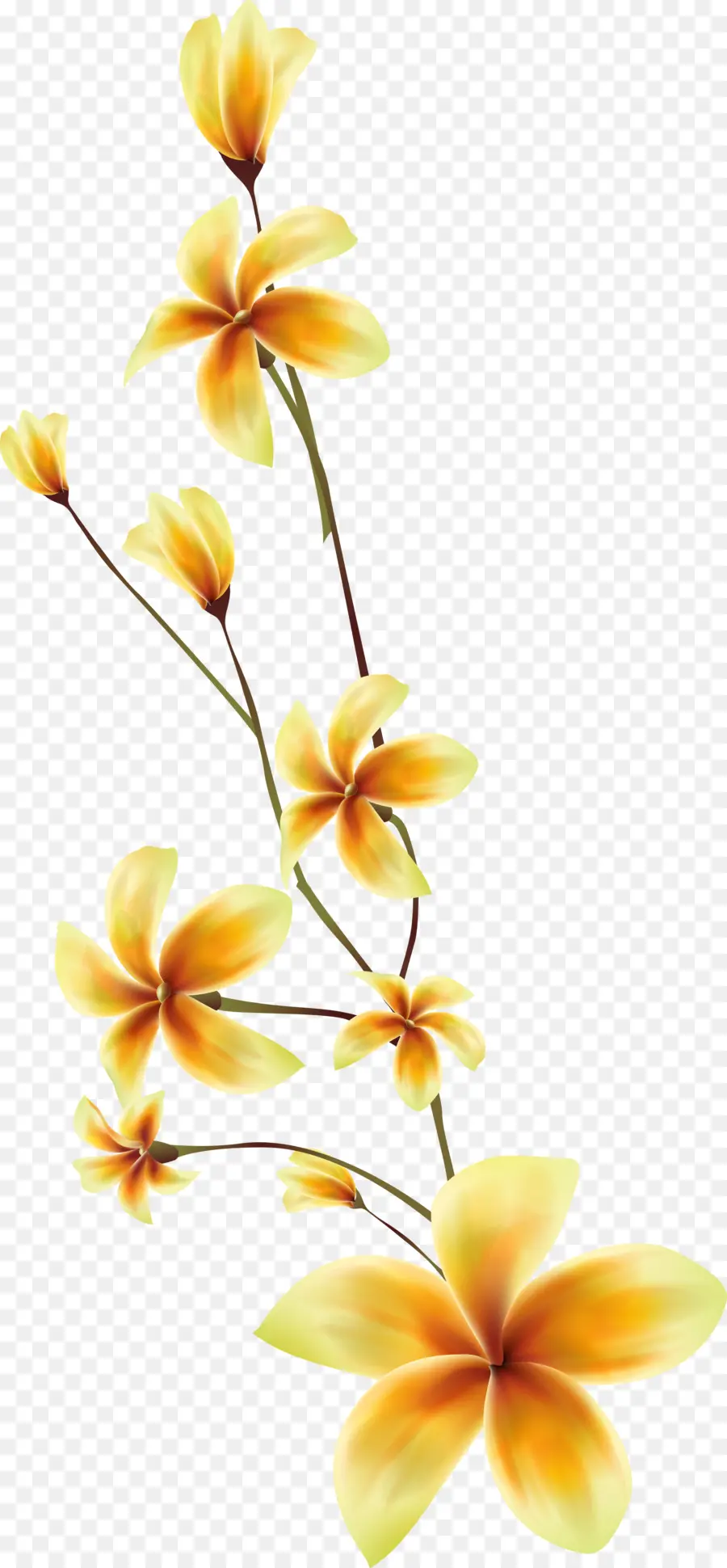 Flores Amarelas，Plantar PNG