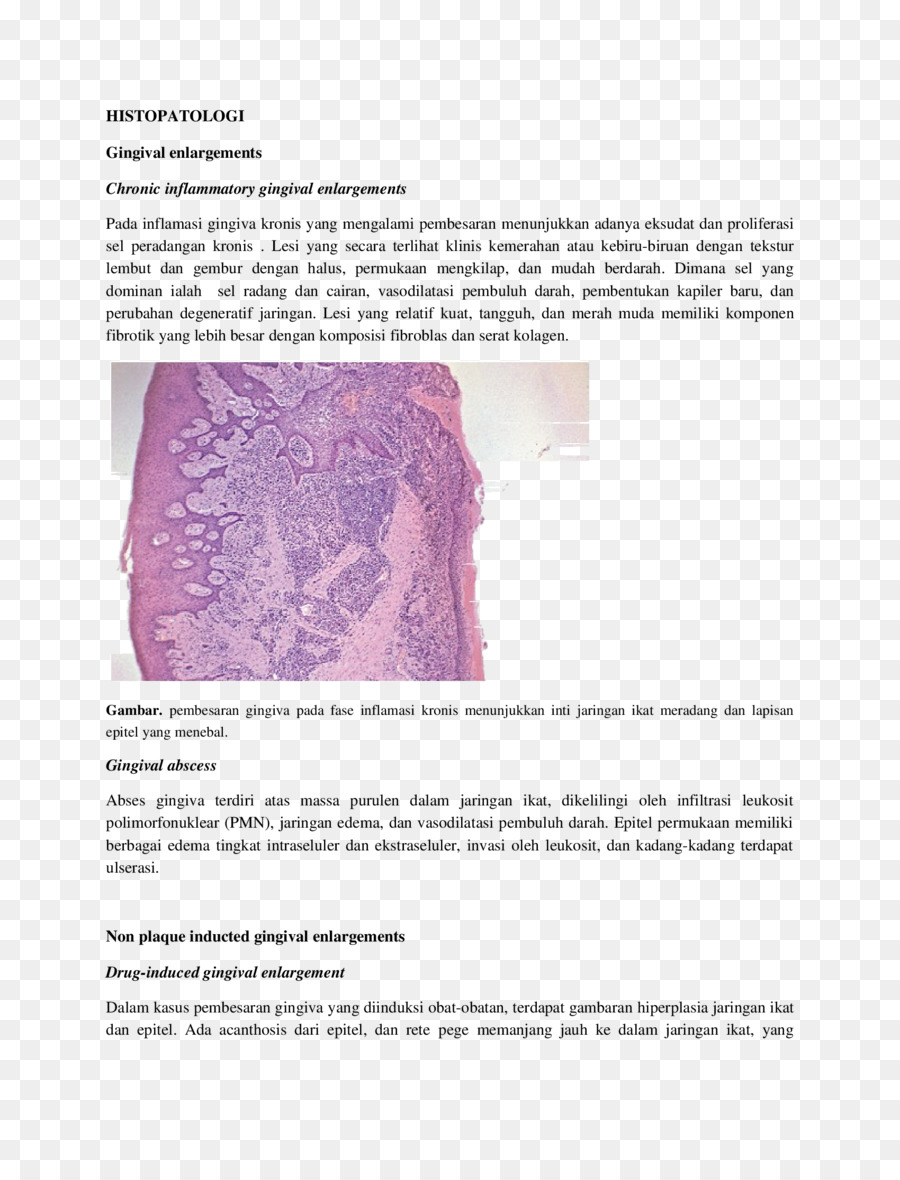 A Inflamação，Proliferasi PNG