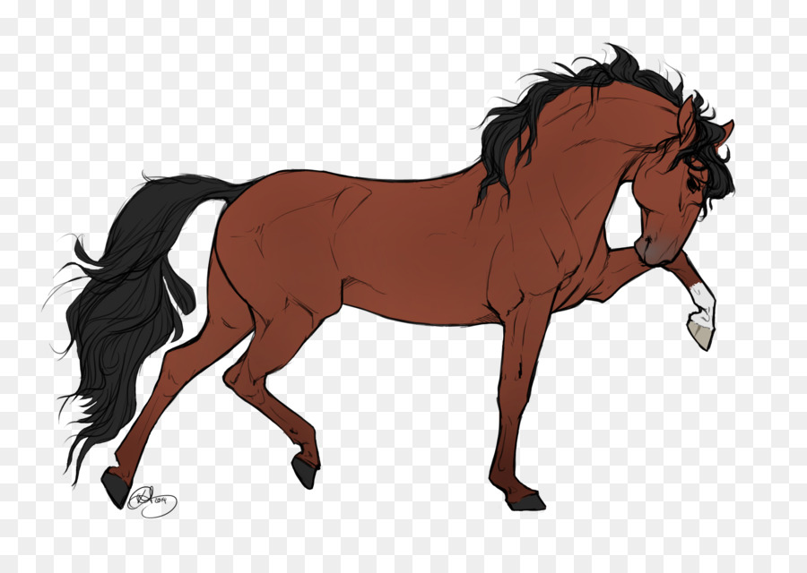 Appaloosa Cigano Cavalo Desenho Png Transparente Gratis