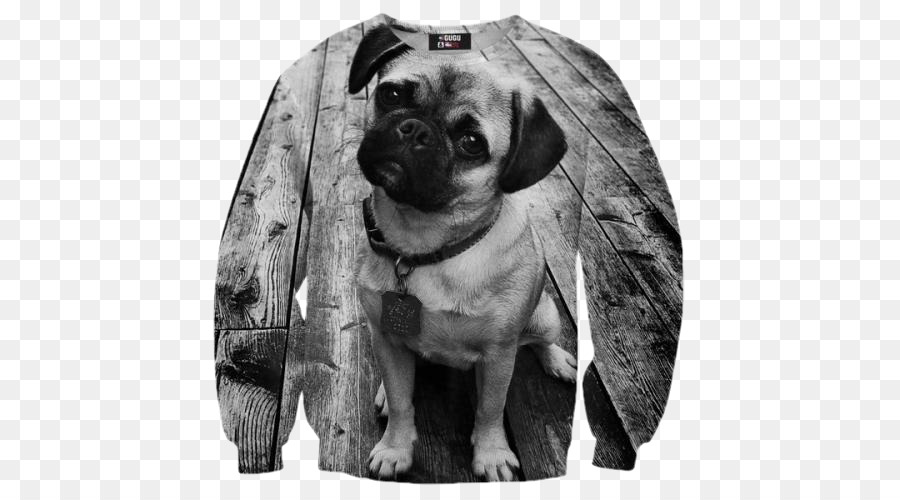 Pug，Tshirt PNG