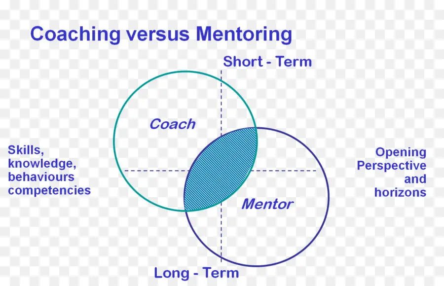 Coaching Versus Mentoria，Habilidades PNG