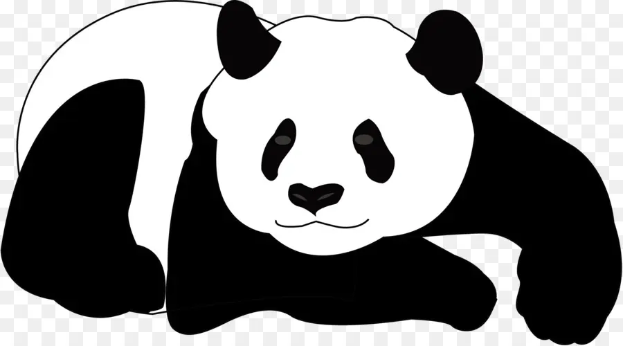 Panda Gigante，Urso PNG