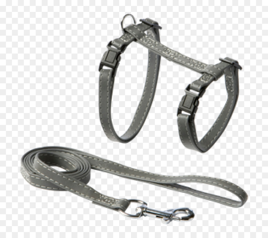 Leash，Cão PNG