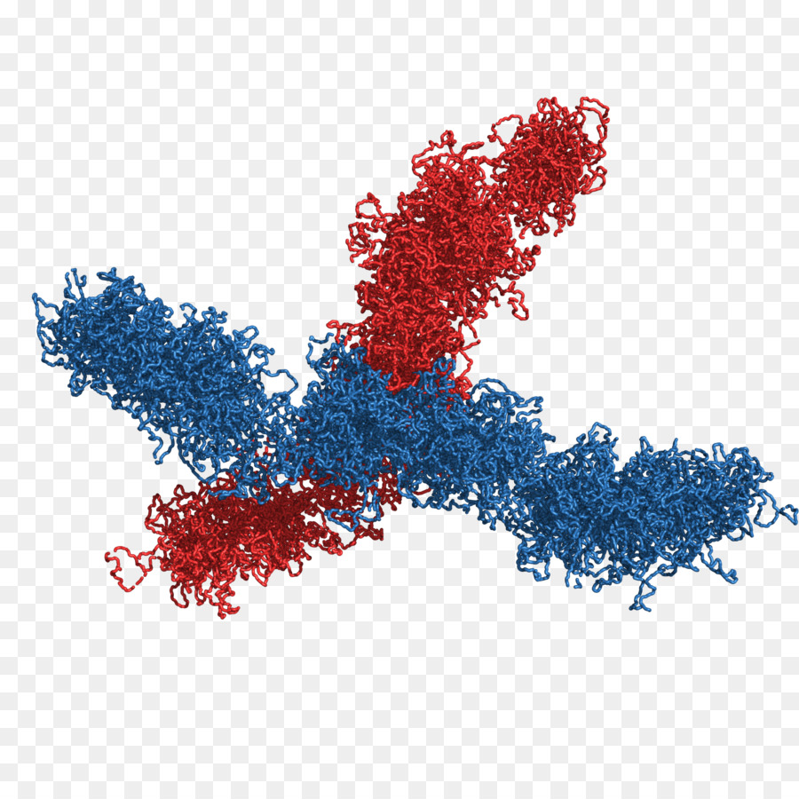 Cromossomo，Tridimensional Do Espaço PNG