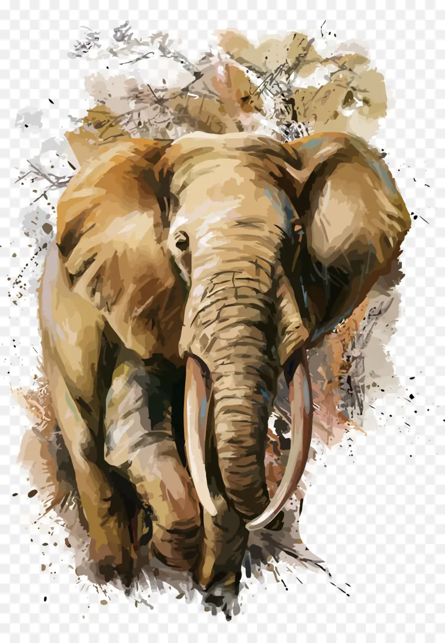 Pintura Em Aquarela，Elefante PNG