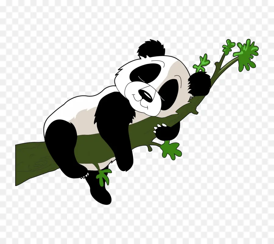 Panda Gigante，De Autocolantes De Parede PNG