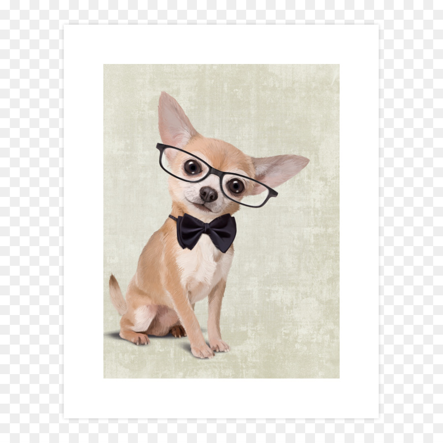 Chihuahua，Filhote De Cachorro PNG