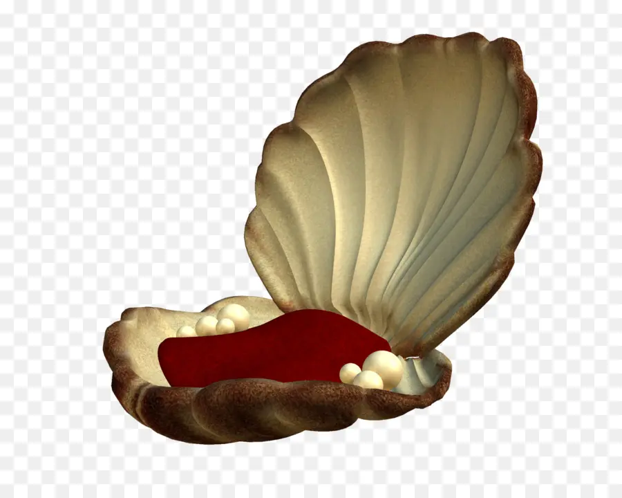 Abrir Shell，Mar PNG