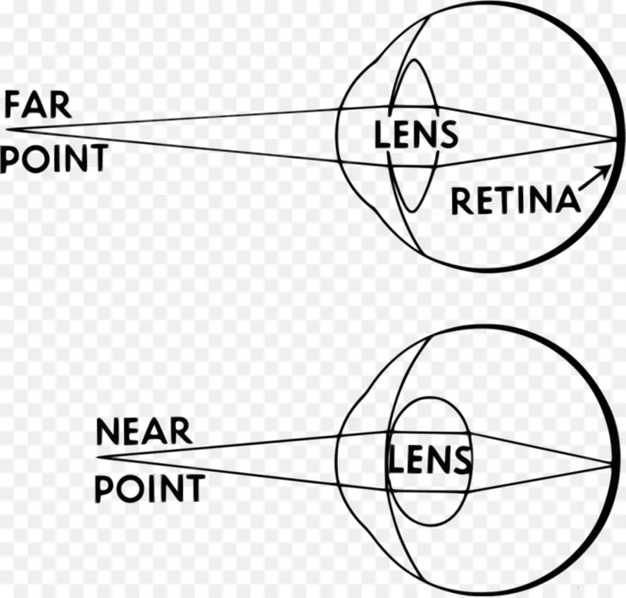 Diagrama De Olho，Visão PNG