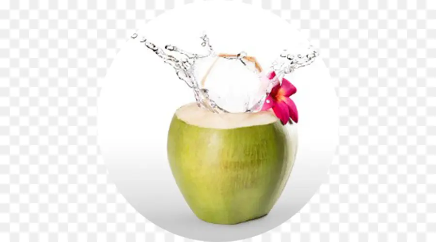 Coco，Água PNG