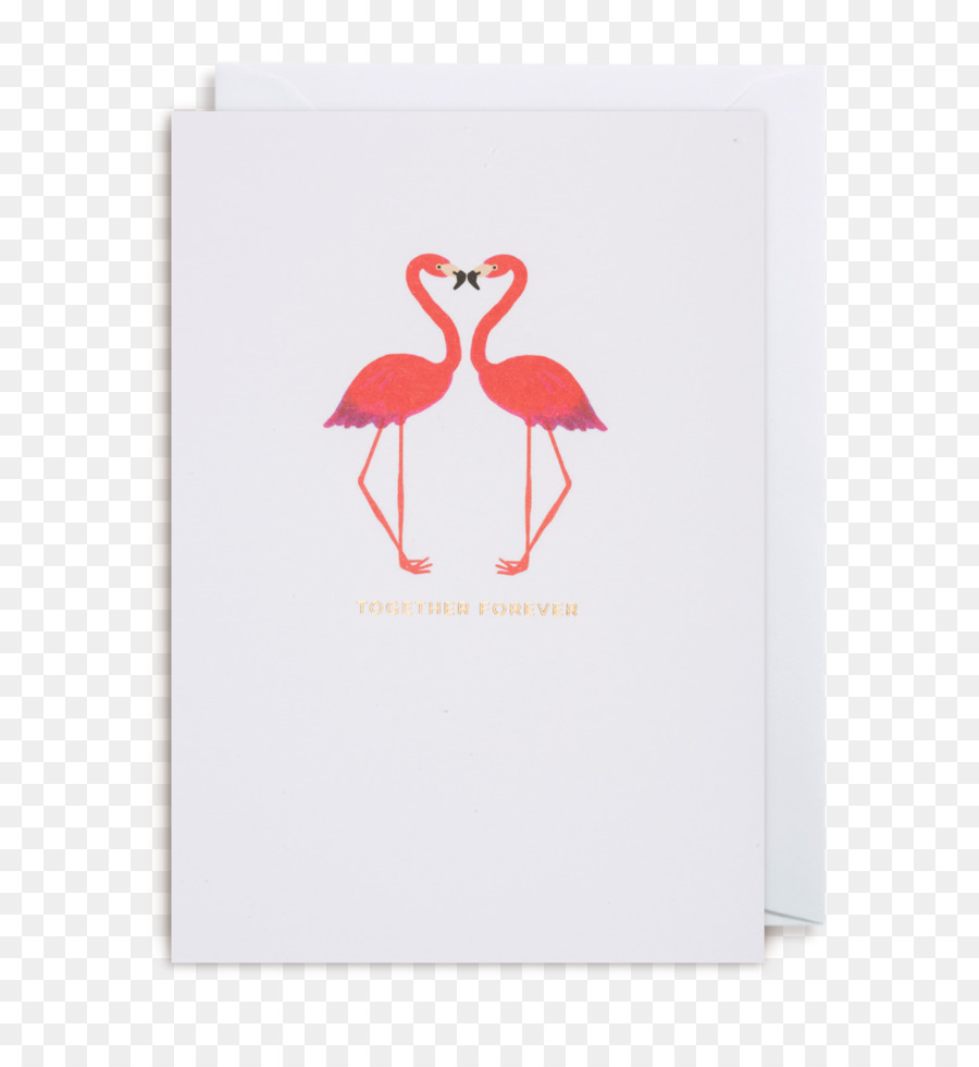 Flamingo，Aves PNG