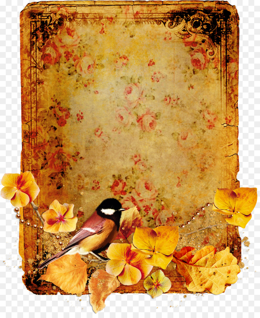 Moldura Vintage，Decorativo PNG