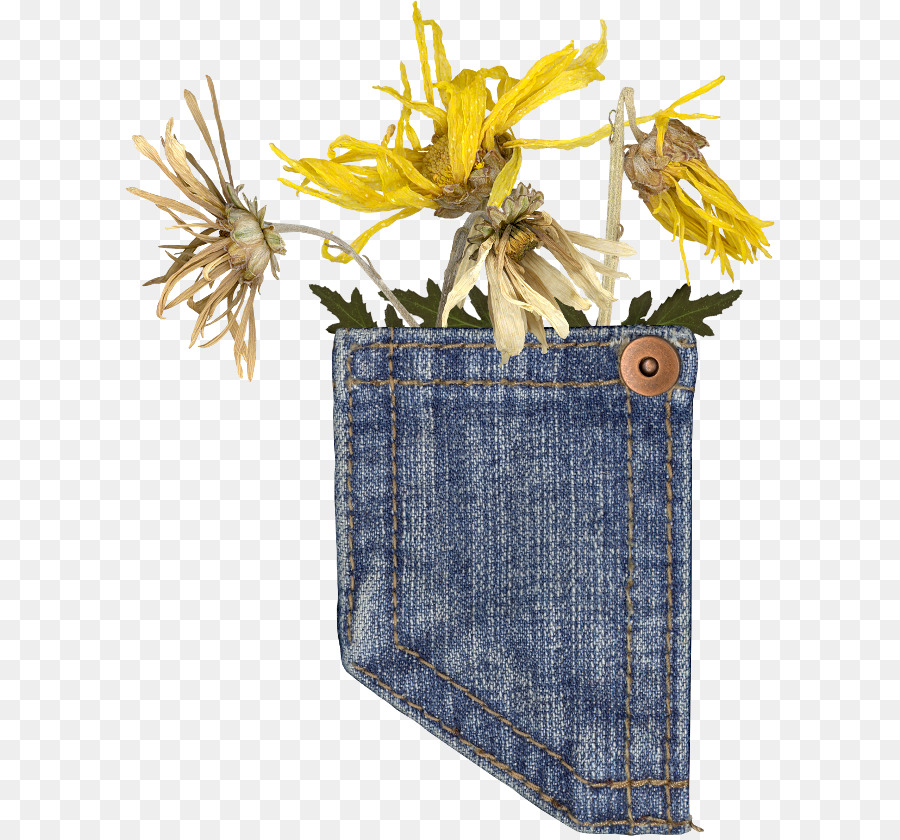 Calças De Brim，Denim PNG