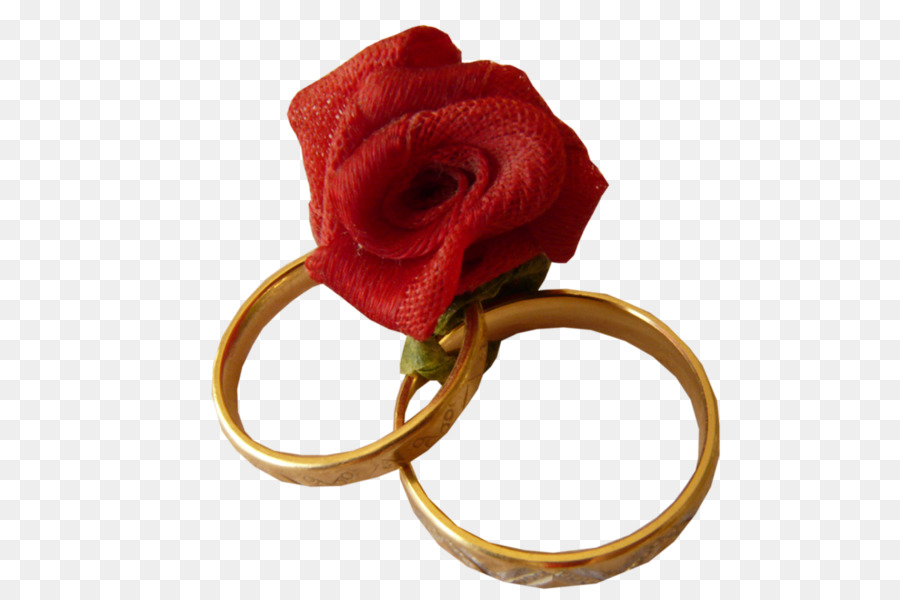 Alianças De Casamento，Casado PNG