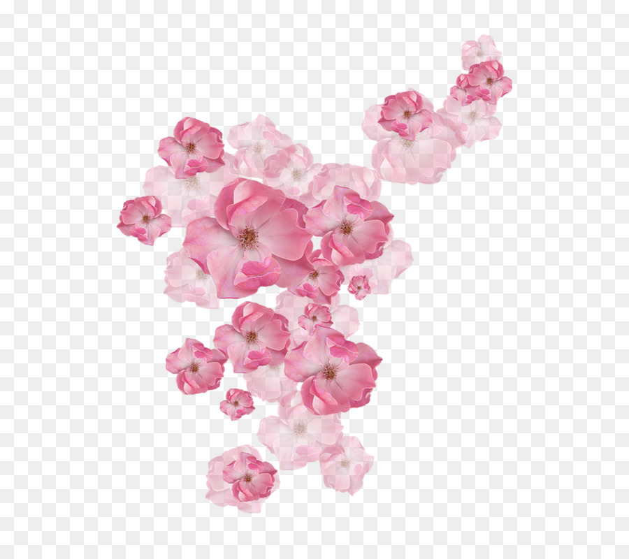 Flores Cor De Rosa，Florescer PNG