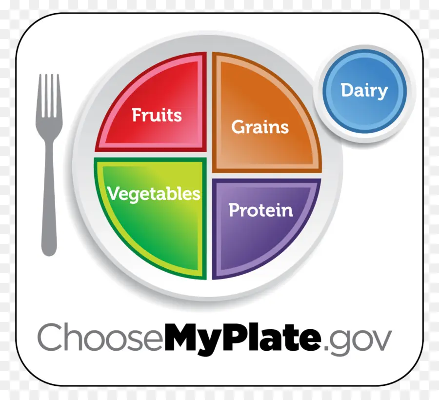 Diagrama Myplate，Nutrição PNG