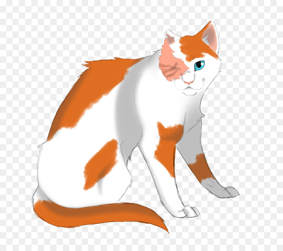 Gato，Felino PNG