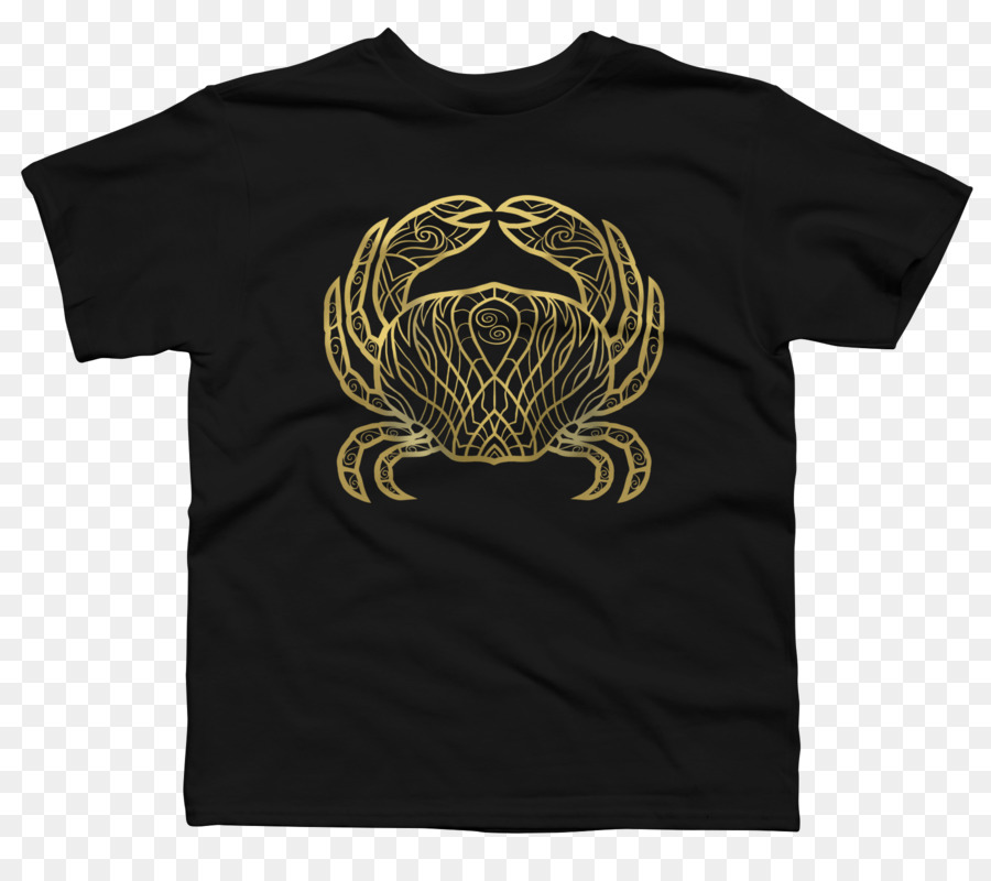 Tshirt，Capuz PNG