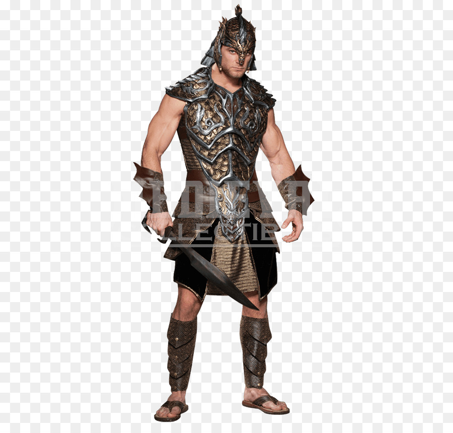 Guerreiro，Armadura PNG