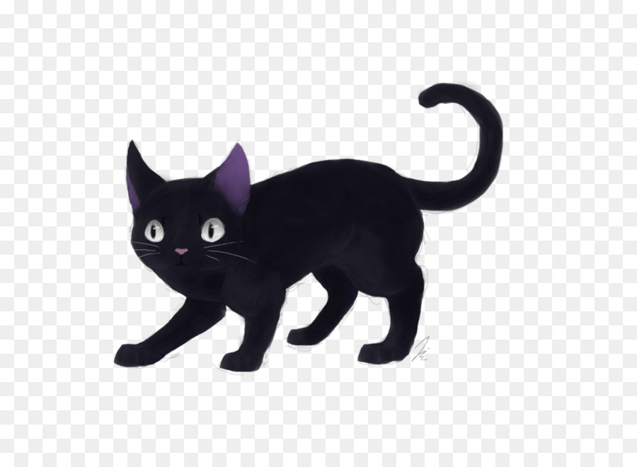 Gato Preto，Bicho De Estimação PNG