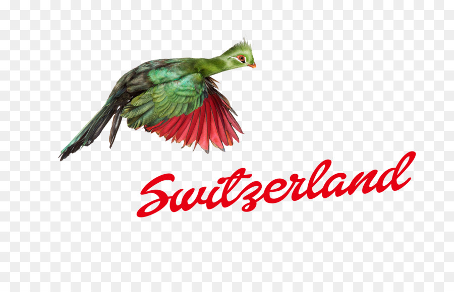 Logo，Suíça PNG