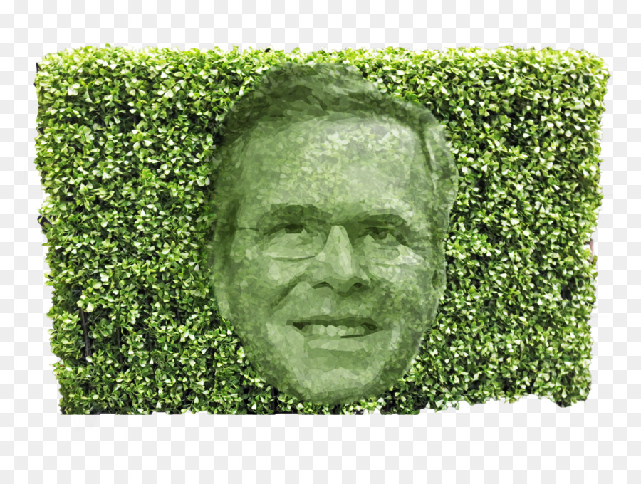 Chris Christie，Hedge PNG