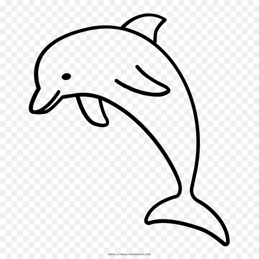Dolphin，Desenho PNG