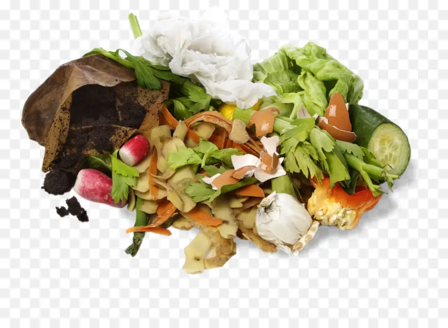 Desperdício Alimentar，Composto PNG