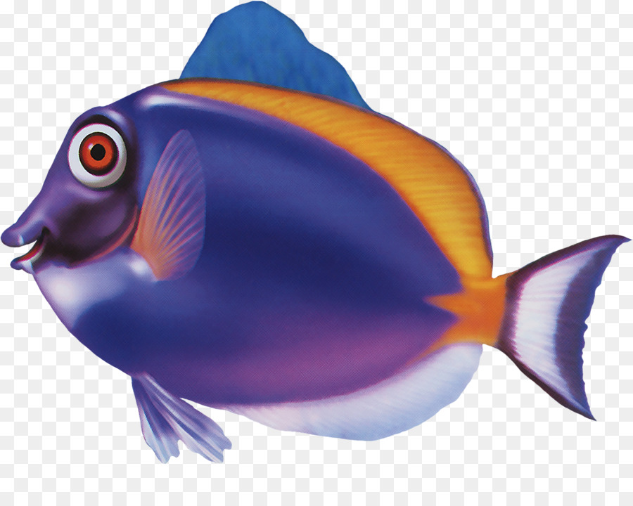 Peixe Azul，Peixe PNG