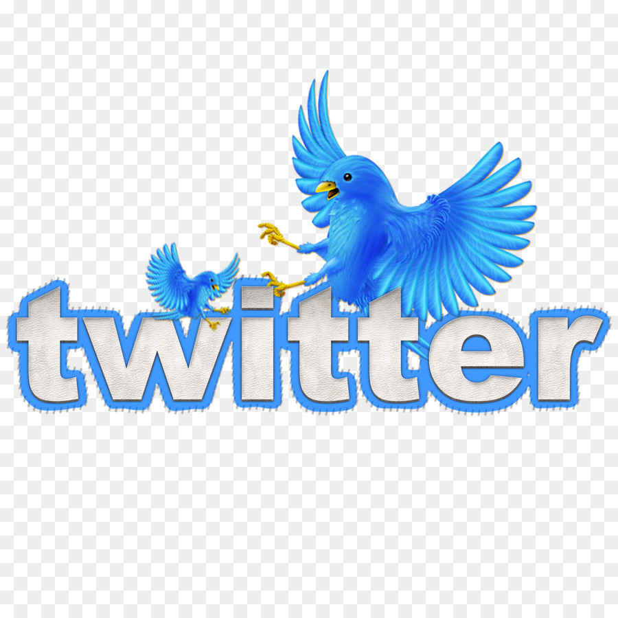 Logotipo Do Twitter，Mídias Sociais PNG