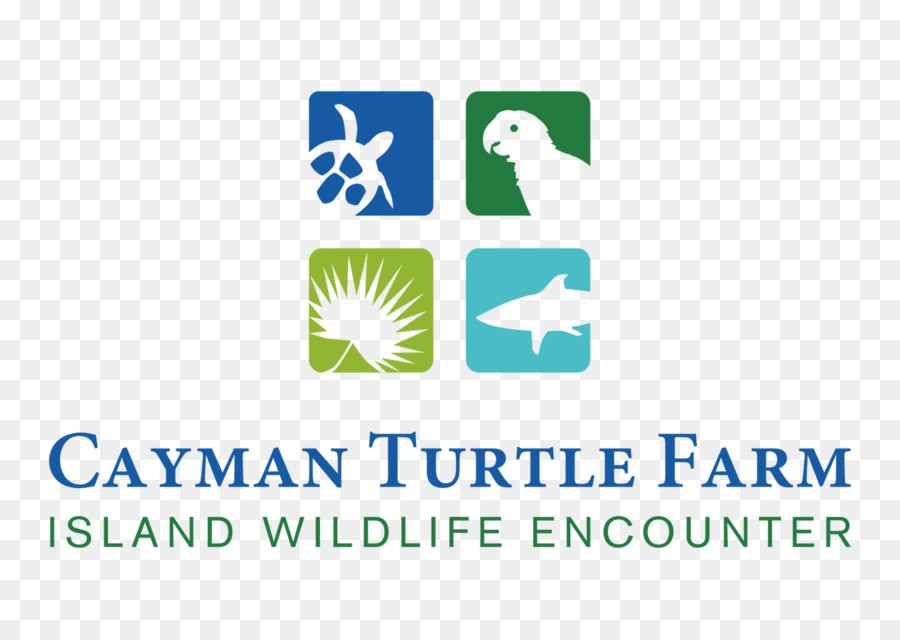 Cayman Turtle Farm，Cayman Turtle Centre PNG
