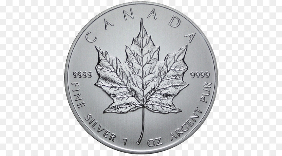 Moeda De Prata Canadense，Moeda PNG