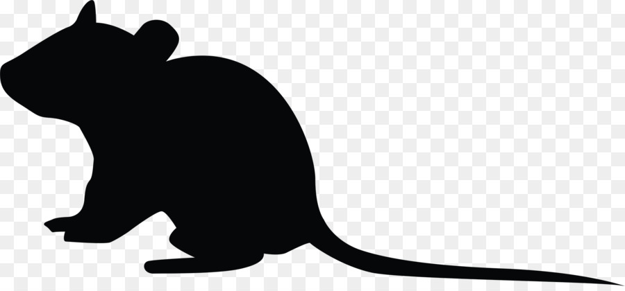 Bigodes，Rat PNG