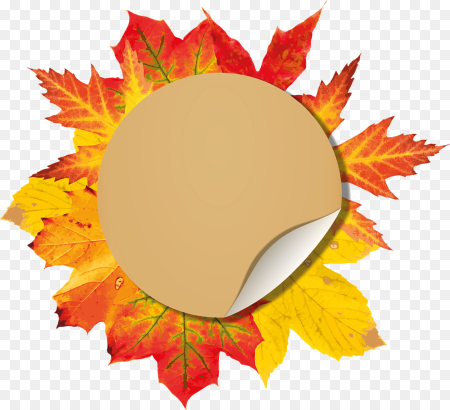 Maple Leaf，Outono PNG